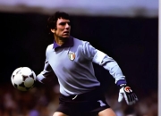 包含尤文图斯老将宣布赛季结束后退役，结束职业生涯的词条